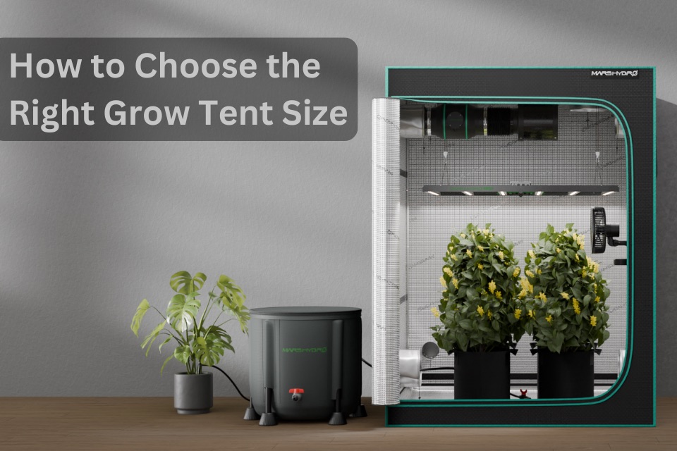 Leitfaden zur Auswahl der richtigen Growbox